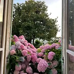 La Maison D'hortense Et Lili Bed & Breakfast 3*