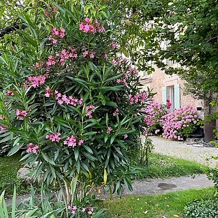La Maison D’hortense Et Lili