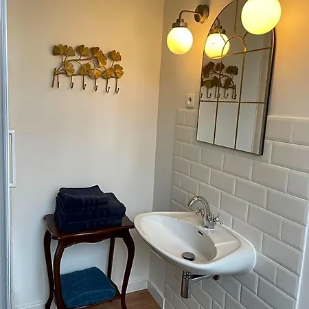 La Maison D’hortense Et Lili 3* Allemans