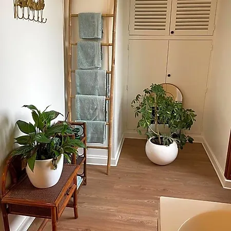 Couette-café La Maison D’hortense Et Lili 3*