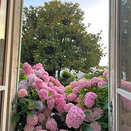 La Maison D’hortense Et Lili