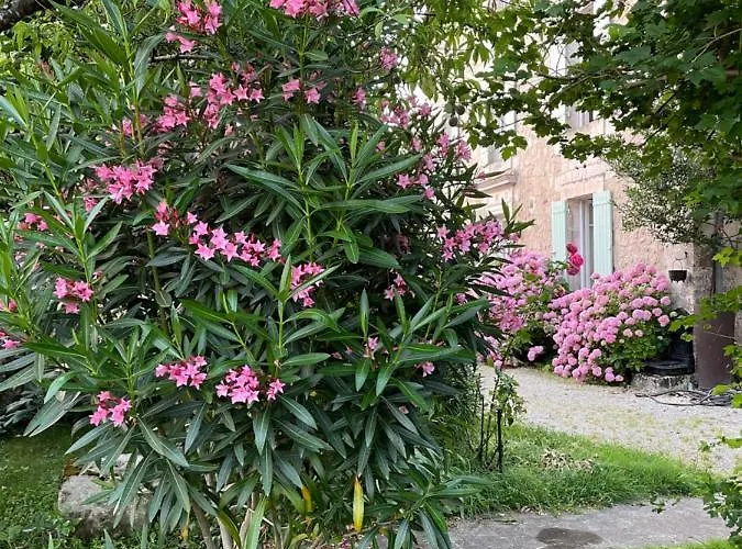 La Maison D'hortense Et Lili Allemans