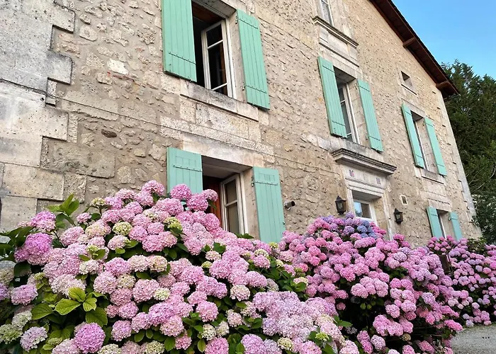 La Maison D'hortense Et Lili Allemans