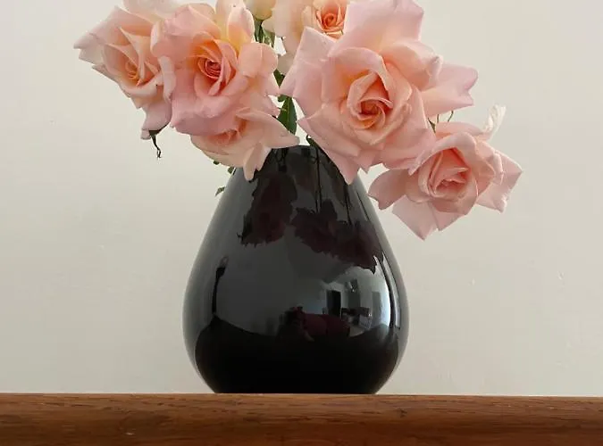 La Maison D'hortense Et Lili 3* Allemans