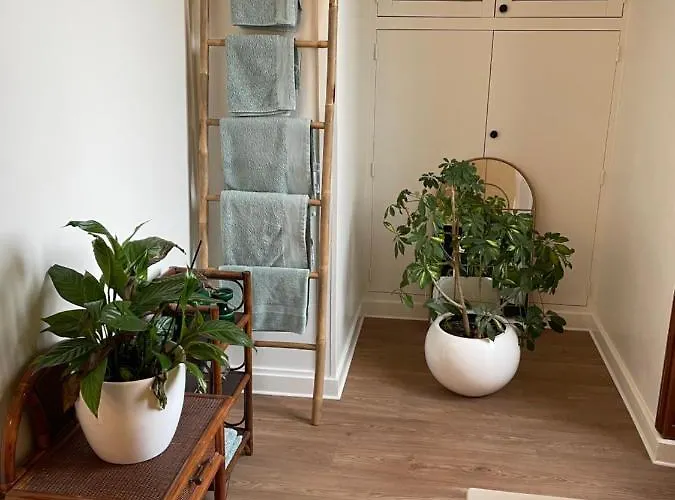 La Maison D'hortense Et Lili