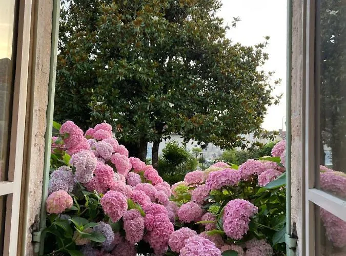 La Maison D'hortense Et Lili 住宿加早餐酒店 3*