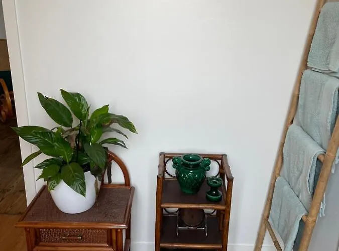 La Maison D'hortense Et Lili 3* Allemans