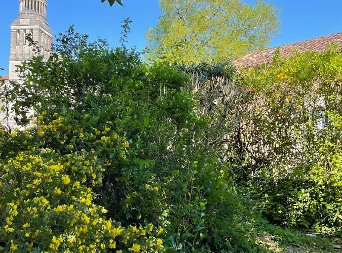 La Maison D'hortense Et Lili Bed & Breakfast 3*